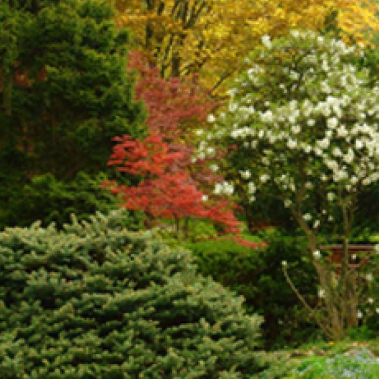 Flecchia Abitazione collaborativa