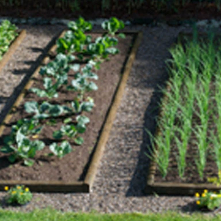 Flecchia Abitazione collaborativa